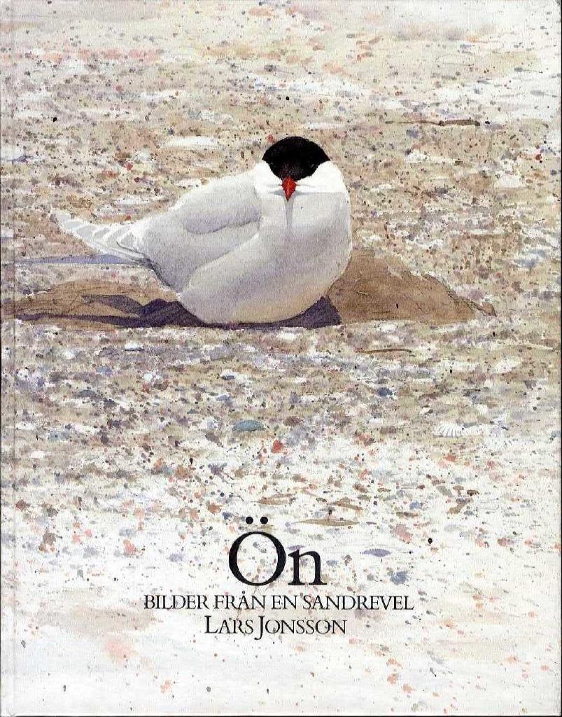 Ön : bilder från en sandrevel