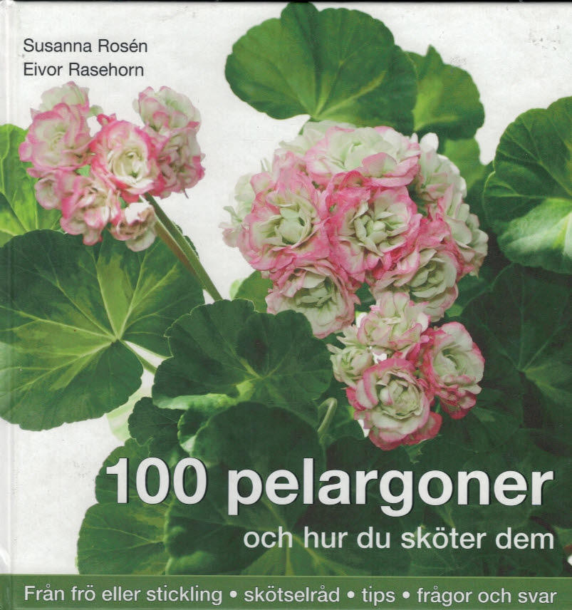 100 pelargoner och hur du sköter dem