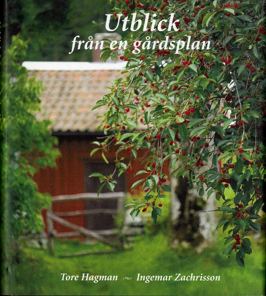 Utblick från en gårdsplan