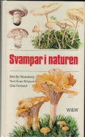 Svampar i naturen
