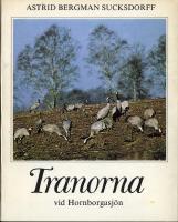 Tranorna vid Hornborgasjön